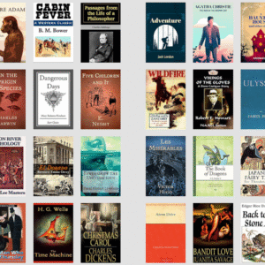 1000 Timeless Classic & Famous Novels | Digital Format with PLR
